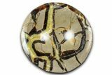 Unique Polished Septarian Dish - Madagascar #371706-1